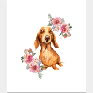 Cute Cream Brown Dachshund Doxie Puppy Watercolor Art Posters and Art